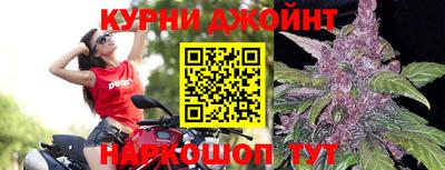 jwh Камышлов