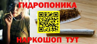jwh Камышлов