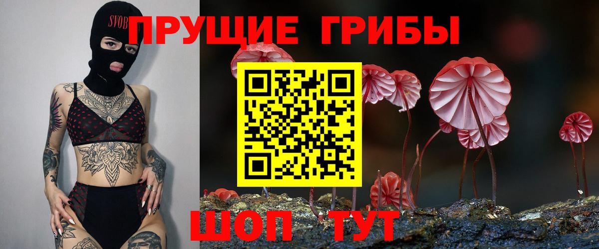 Псилоцибиновые грибы Magic Shrooms  Псилоцибиновые грибы Magic Shrooms  Кировск  Вход с VPN 